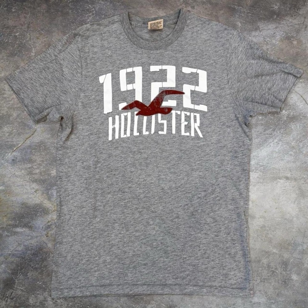 Vintage Hollister California 1922 Grey T-Shirt Men's Size Large Beach Surf Y2K